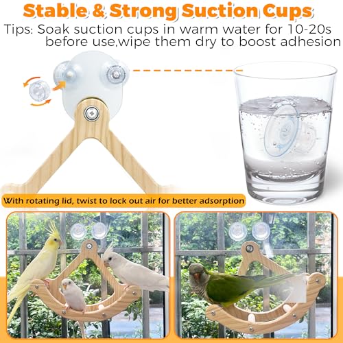Rocking Bird Toys Perch for Window and Cage, Bird Perch for Wall Suction Mount, Wooden Parrot Toys for Medium Birds, Enrichment Cockatiel Toy Fun and Accessoriess for Budgie, Lovebird, Conure