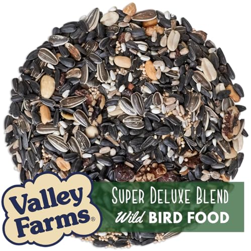 Valley Farms Super Deluxe Wild Bird Food for Outside feeders - 0% fillers - Loads of Sunflower Seed - w/Peanut kernels -Feed More Birds w/Less Seed (4 LBS)