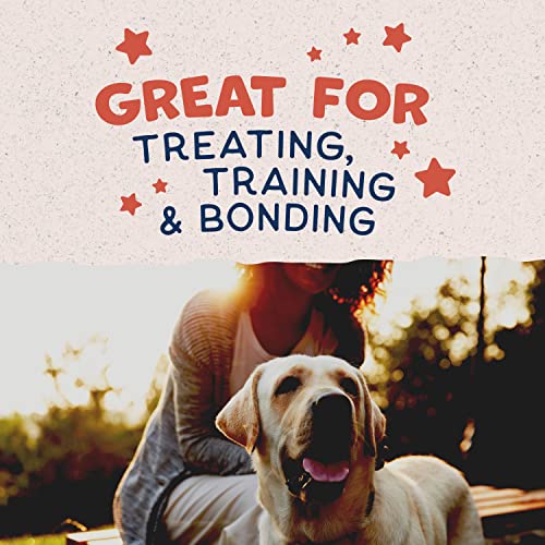 Natural Balance Limited Ingredient Rewards Crunchy Biscuits, Grain-Free Dog Treats for Adult Dogs of All Breeds, Salmon Recipe, 14 Ounce (Pack of 1)
