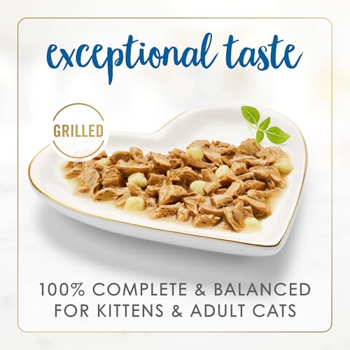 Purina Fancy Feast Delights With Cheddar Grilled Whitefish and Cheddar Feast in Wet Cat Food Gravy Cat Food - (Pack of 24) 3 oz. Cans