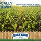 CountryMax Backyard Seeds Cracked Corn 50lbs - High-Energy Animal Feed for Chickens, Squirrels, Deer & Wild Birds, Ground Feeding, High Protein