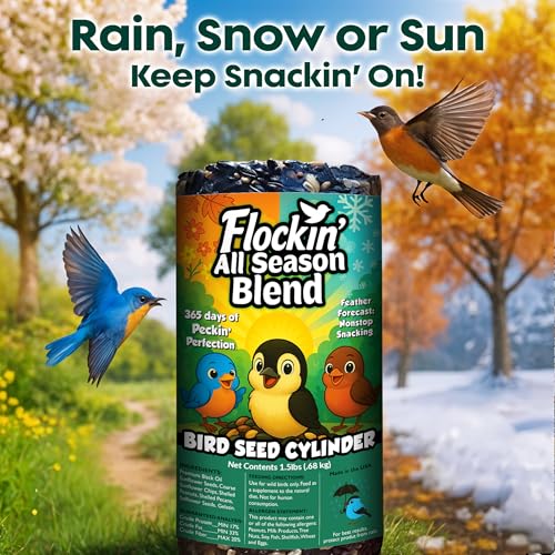 All Year Round Bird Seed Cylinders with Hole – All Season Wild Bird Food for Blue Jays, Cardinals, Doves, Finches & More – Balanced High Energy All Natural Blend, No Fillers – USA Made (4" x 7.75")