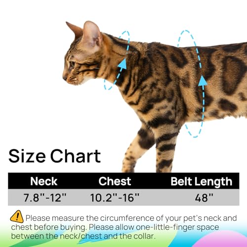 Cat Harness and Leash Set - Escape Proof Adjustable Cat Harness, Comfortable Soft Lightweight, Use Safe & Easy, Walking Travel Kitten Harness for Small Medium Large Cats (Hawaii Green)
