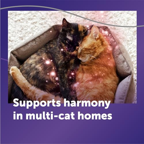 FELIWAY Optimum Cat Calming Diffuser Refill (3 Pack, 90 Day Supply) – Cat Pheromone Diffuser Refill for Advanced Support to Reduce Stress, Spraying, Scratching, Fighting and Hiding
