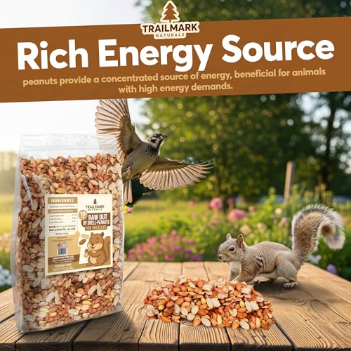 11 LB - Raw Shelled Peanuts for Squirrels, Out of Shell Peanuts for Birds and Wildlife- Squirrel Food, Wild Bird Seed - Grown in The USA