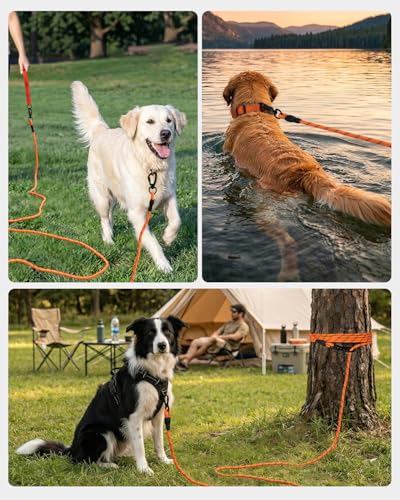 Joytale Long Leash for Dog with Removable Padded Handle, Heavy Duty Lead for Large Medium Dogs,15FT/30FT/50FT/65FT Reflective Training Leash for