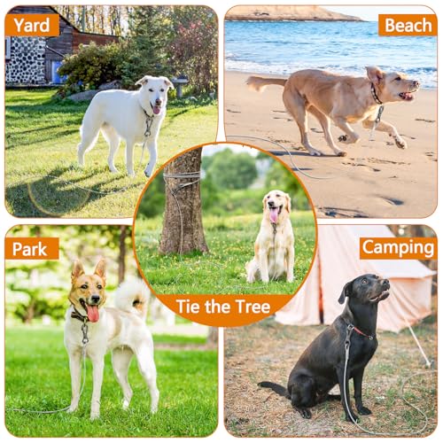 XiaZ Dog Tie Out Cable, Heavy Duty Dog Chains for Outside with Lockable Hook, Pet Runner Cable Leads for Yard, Dogs Line Tether for Small Medium