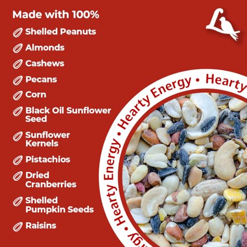 Lyric Fruit and Nut Wild Bird Seed - High Energy Wild Bird Food Mix - Attracts Woodpeckers, Chickadees & Other Songbirds - 10 lb. (pack of 2 - 5 lb bags)