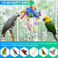 KATUMO Bird Toys, Parrot Pull Spoons Colorful Acrylic Stick Toys Bird Chew Toys for  Parrot, African Grey, Conure, Caique, Quaker, Small Cockatoo, Mini Macaw, Eclectus and Similar Birds
