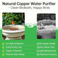 2 Pack Bird Bath Copper Discs, 99.9% Pure Copper Cleaner with Triple-Point Support, Reinforced Design for Safe Clean Water, Universal Fit for Outdoor Birdbaths and Bowls, All-Season Use