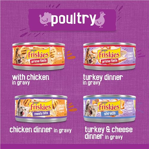 Purina Friskies Gravy Wet Cat Food Variety Pack, Poultry Shreds, Meaty Bits and  Filets - (Pack of 32) 5.5 oz. Cans
