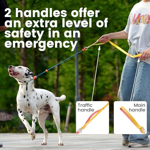 HowGo Slip Lead Dog Leash, 360°Swivel Anti-Tangle (Black 5.5FT) | Traffic Hanldes Heavy-Duty Tranning Fur Stuck Free,Lightweight Aluminum