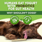 EcoKind Yogurt Dog Chews – Bacon | Dog Treats with Probiotics for Digestive Health, Gut Support & Wellness | Lactose Free, Grain Free, Natural Dog