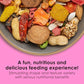Kaytee Fiesta Big Bites Macaw Food, Nutritious and Fun Blend, Supports Skin, Feather, Digestion, Brain and Heart Health, 10 pounds