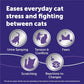 FELIWAY Optimum Cat Calming Diffuser Refill (3 Pack, 90 Day Supply) – Cat Pheromone Diffuser Refill for Advanced Support to Reduce Stress, Spraying, Scratching, Fighting and Hiding
