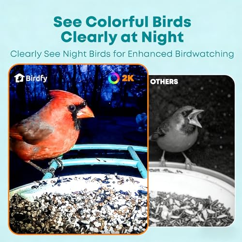 NETVUE by Birdfy Smart Bird Feeder with 2K HD AI Camera Solar Powered, Wireless Wildbird Watching, Live Stream&Color Night Vision, Auto-Capture & Notify, Free Cloud Storage(AI by Subscription)