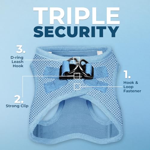 Best Pet Supplies Voyager Step-in Air All Weather Mesh Harness and Reflective Dog 5ft Leash Combo with Neoprene Handle, for Small, Medium and Large