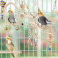 Bird Parrot Swing Toys, Chewing Standing Hanging Perch Hammock Climbing Ladder Bird Cage Toys for Budgerigar, Parakeet, Conure, Cockatiel, Mynah, Love Birds, Finches and Other Small to Medium Birds