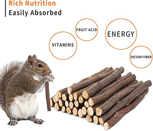 700g Apple Sticks Molar Wood Treats, Rabbit Toys Chinchilla Guinea Pig Bunny Toys Wood Chews Sticks for Teeth Rabbit Food Guinea Pig Hamster Gerbil Chews Small Animals Snacks(200 Pcs)