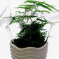 Glass Plant Watering Globes, Self Watering Globes Bird Shape, Self Watering Planter Insert, Plant Watering Devices, Automatic Plant Waterer Indoor, Watering Bulbs, 3 Pack