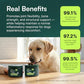 Wuffes Advanced Dog Hip and Joint Supplement with Glucosamine, Chondroitin, Omega 3, MSM, and Green Lipped Mussel, 60 Pork Flavored Chews for Small and Medium Dog Breeds
