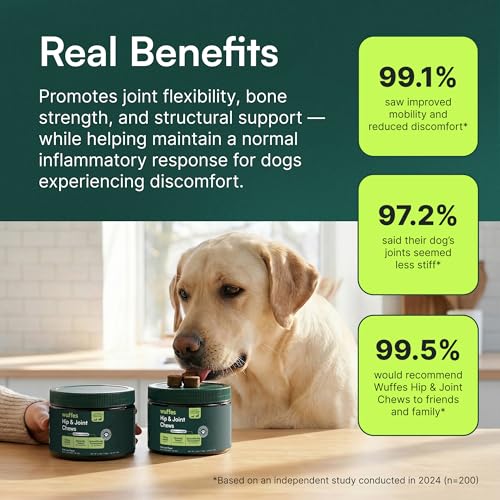 Wuffes Advanced Dog Hip and Joint Supplement with Glucosamine, Chondroitin, Omega 3, MSM, and Green Lipped Mussel, 60 Pork Flavored Chews for Small and Medium Dog Breeds