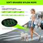 lynxking Slip Lead Dog Leash Reflective, Heavy Duty Comfortable Strong Rope for Large Medium Small Dogs No Pull Pet Training (Light Green, Large