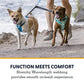 Ruffwear, Double Track Coupler, Double Leash for Two Dogs, Premium Heavy Duty Dual Splitter with 360° Lockable Swivel No Tangle, Shock-Absorbing