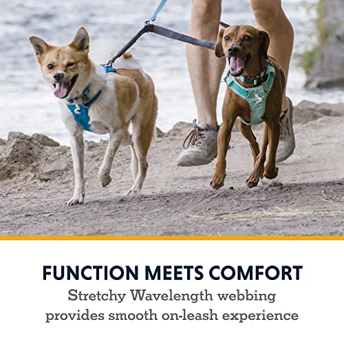 Ruffwear, Double Track Coupler, Double Leash for Two Dogs, Premium Heavy Duty Dual Splitter with 360° Lockable Swivel No Tangle, Shock-Absorbing