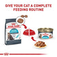 Royal Canin Feline Care Nutrition Urinary Care Adult Thin Slices in Gravy Cat Food, 3 oz (Pack of 12)