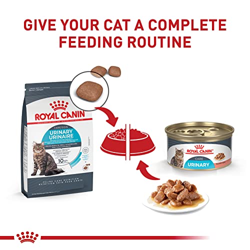 Royal Canin Feline Care Nutrition Urinary Care Adult Thin Slices in Gravy Cat Food, 3 oz (Pack of 12)