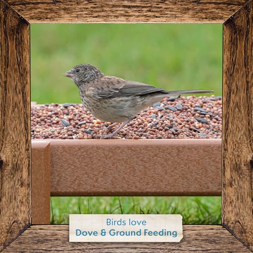 Morning Song Dove & Ground Feeding Wild Bird Seed -12 lb. Dove, Quail & Pigeon Wild Bird Food for Outside Feeders