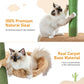 PAWZ Road Cat Tree, Cactus Floor to Ceiling Cat Tower with Adjustable Height(95-108 Inches), 5 Level Cat Climbing Tower with Cozy Hammock, Platforms and Dangling Balls for Indoor Cats