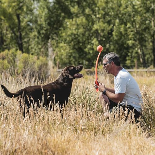 Chuckit! Sport 26L Dog Ball Launcher - Includes a 3-inch Diameter Large Ball for Dogs 60-100 Pounds - Manual Thrower for Dog Balls With a Slim Ergonomic Handle - 26-inch Length