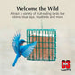 C&S Berry Suet Treat, Wild Bird Food for Robins, Blue Jays, Bluebirds, Tanagers, Thrushes and More, 8 Pack