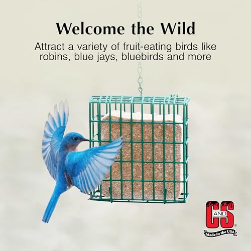 C&S Berry Suet Treat, Wild Bird Food for Robins, Blue Jays, Bluebirds, Tanagers, Thrushes and More, 8 Pack