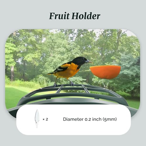 Complete Bird Feeder Accessory Kit DIY Add-Ons Including Mini Hummingbird Feeder, 2 Fruit Holders, Jelly Feeder, Compatible with Kiwibit Smart Bird Feeder with Camera to Attract More Birds