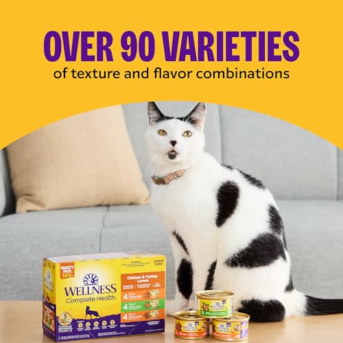 Wellness Complete Health Pate Adult Wet Cat Food, Natural, Protein-Rich, Grain Free, 3 Ounce, 24 Pack, (Beef & Chicken)