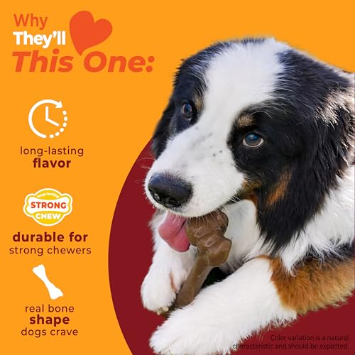 Nylabone Strong Chew Femur Bone Dog Toy Made with Real Bison & Venison, Durable Chew Toys for Aggressive Chewers, Long Lasting Dog Bone, Keeps Dogs