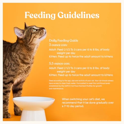 Made by Nacho Wild-Caught Chicken & Herring Recipe with Bone Broth Minced Wet Cat Food, 3-oz can, Case of 6