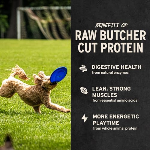 Vital Essentials Freeze Dried Raw Chicken Hearts Dog Treats | Single Ingredient | Premium Quality | Grain Free Treats for Dogs, 1.9 oz Bag