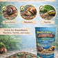 Ramshorn and Mystery Snail Complete Diet Aquarium Snail Food – Calcium-Enriched Sinking Pellets, Wafers & Granules.