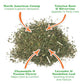 Meowijuana Catnibas Catnip Pawty Mix Jar | Premium Cat Nip for Cats with Silvervine, Passion Flower, Chamomile, Dandelion & Valerian Root | High Potency Catnip | 60g