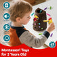TOP BRIGHT Montessori Toys for 2 Year Old - Magnetic Bird Feeding Games for 2 Year Olds, Learning Toys for Toddlers 2-4 Years, Fine Motor Skills Toy for 3 Years Old Girls and Boys