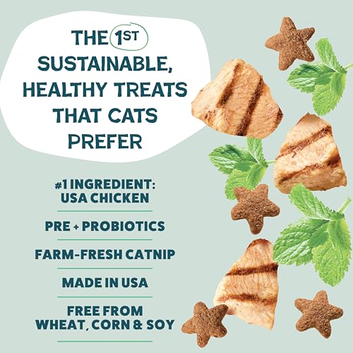 Shameless Pets Crunchy Cat Treats - Kitty Treats for Cats with Digestive Support, Natural Ingredients for Kittens, Healthy Flavored Feline Snacks