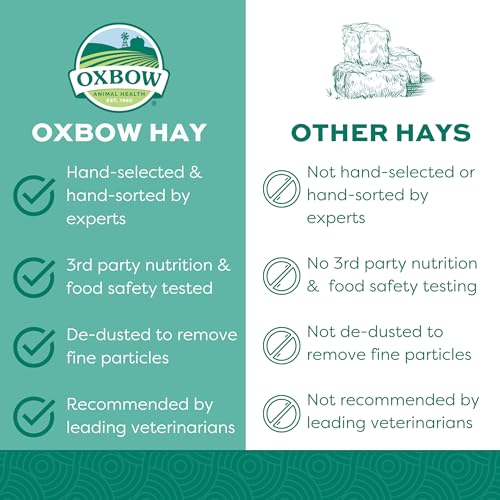 Oxbow Orchard Grass Hay for Small Pets – All-Natural Long Strand Fiber Hay for Rabbits, Guinea Pigs, Chinchillas, and Hamsters – Supports Digestive Health and Enrichment – 40 oz Bag