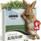 9lb Farm Fresh Alfalfa Hay for Rabbits, Guinea Pigs, Chinchillas, Goats, Hamsters & Ferrets - Organic Small Animal Food Rich in Protein & Fiber - Fresh Dried, Hand-Selected, USA Grown