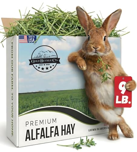 9lb Farm Fresh Alfalfa Hay for Rabbits, Guinea Pigs, Chinchillas, Goats, Hamsters & Ferrets - Organic Small Animal Food Rich in Protein & Fiber - Fresh Dried, Hand-Selected, USA Grown