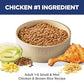 Hill's Science Diet Adult 1-6 Small & Mini Dry Dog Food, Chicken & Brown Rice, 15.5 lb. Bag