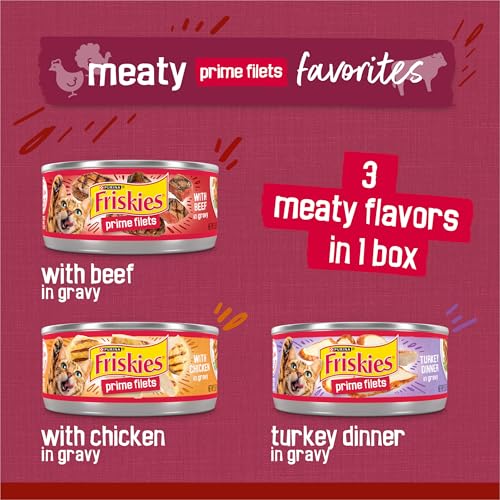 Purina Friskies Gravy Wet Cat Food Variety Pack,  Filets Meaty Favorites - (Pack of 24) 5.5 oz. Cans